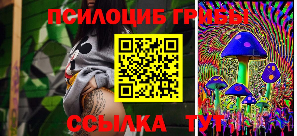 Псилоцибиновые грибы мухоморы  Вход с VPN  Псилоцибиновые грибы Cubensis  Вологда 
