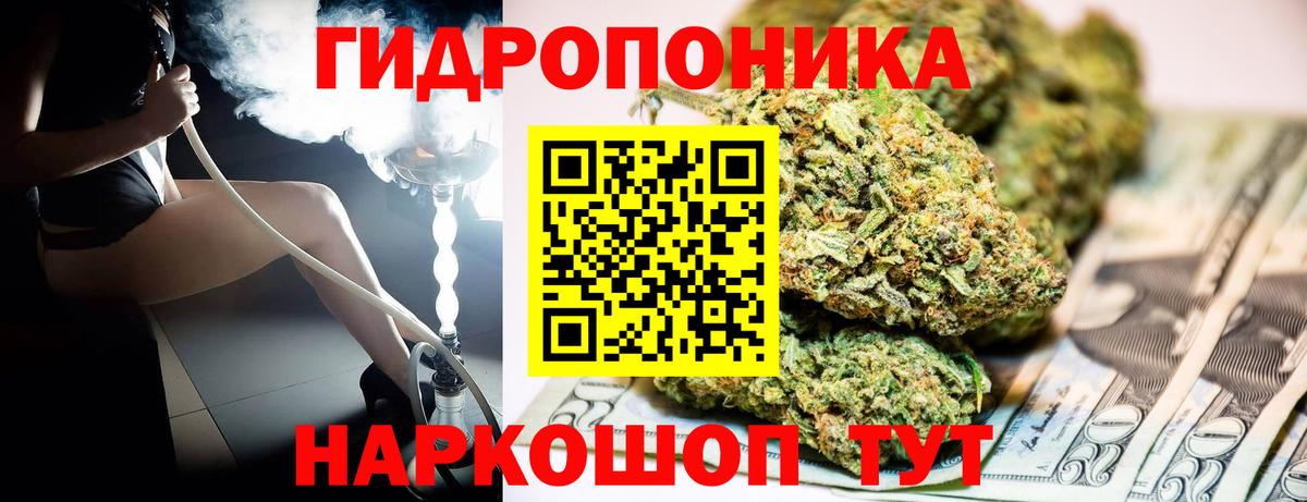Конопля планчик Вологда